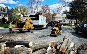 Best Commercial Tree Services  in Rumson, NJ